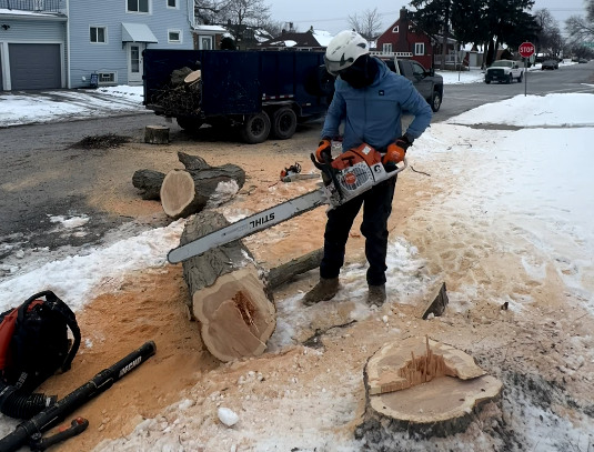 Firewood Cutting