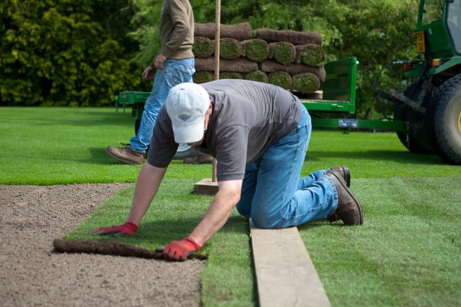 Invasive Species Removal