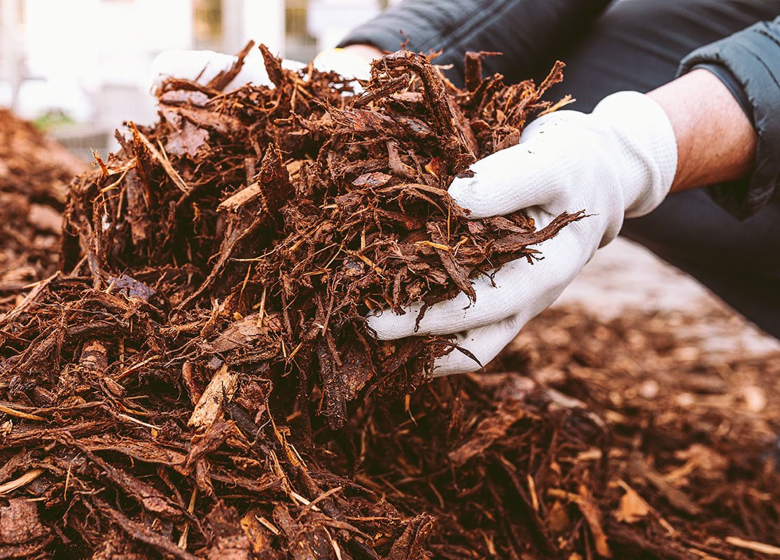 Tree Mulching