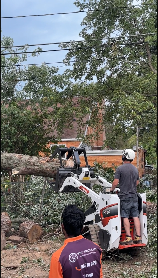 Tree Pruning