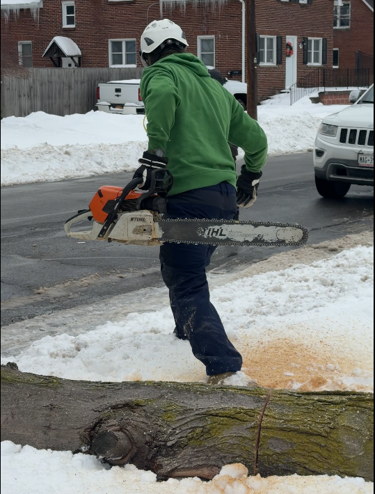 Step 8: Bucking Logs