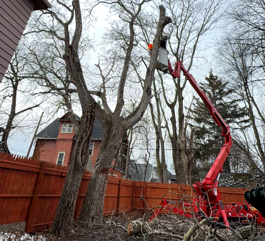 Wood Chipper Operation