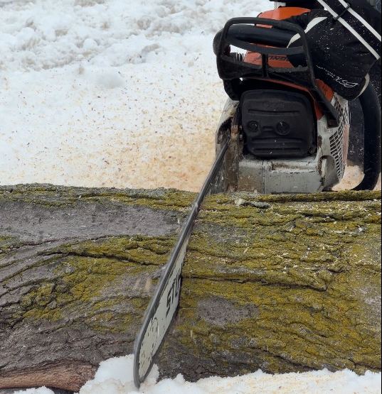 A-One Tree Services Crew Rochester NY