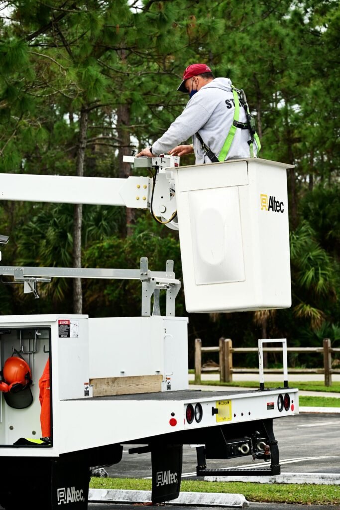 DIY Tree Trimming vs Hiring a Professional: What You Risk by Doing It Yourself