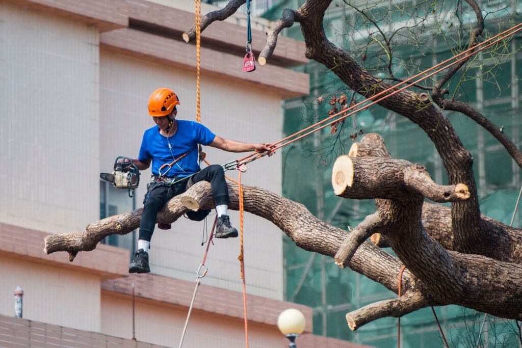 What Actually Happens When You Call for 24/7 Emergency Tree Service