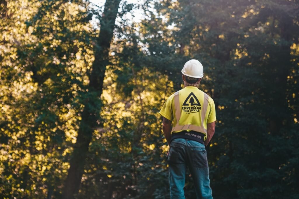 Do You Need a Permit to Remove a Tree in Rochester NY