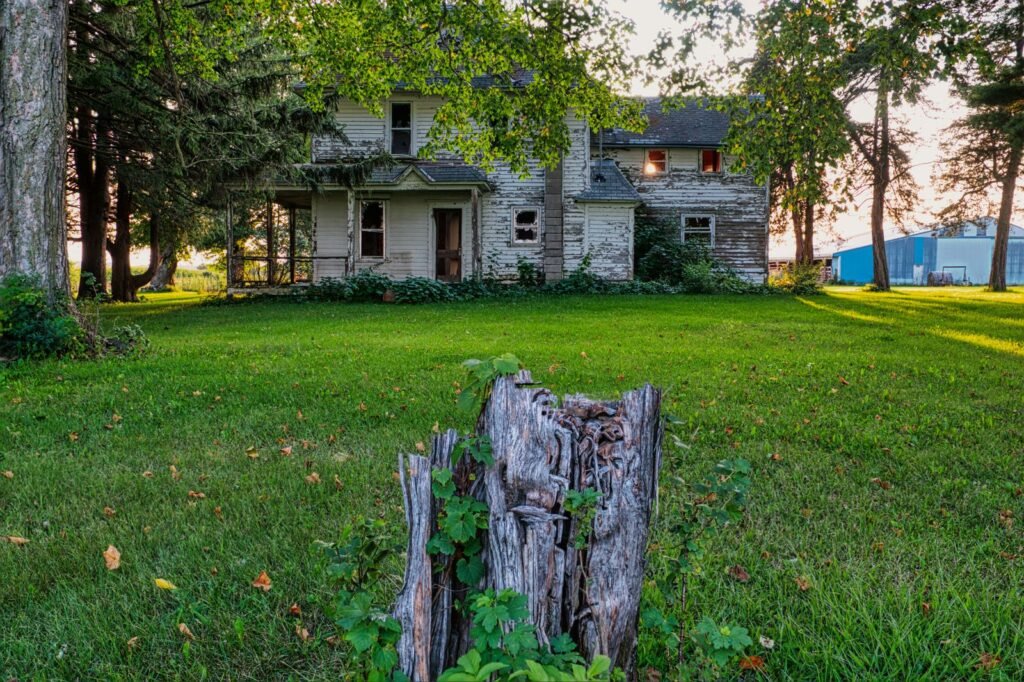 Stump Grinding vs Stump Removal: What’s Actually the Difference