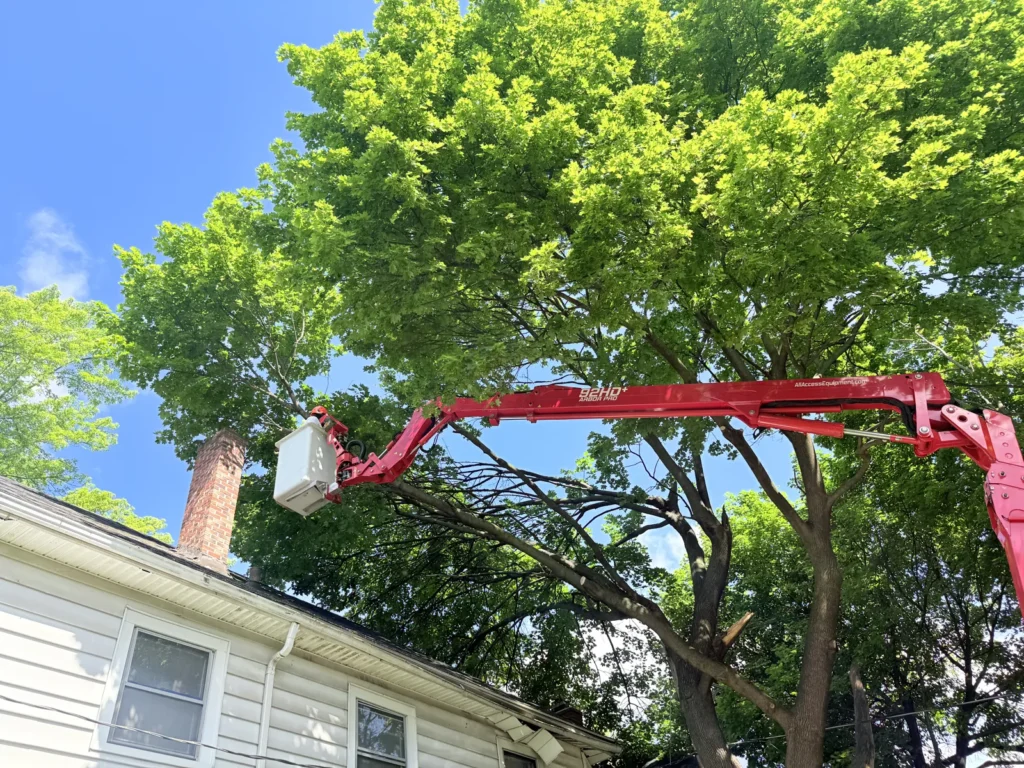 Aerial lift bucket positioned beside a large tree next to a brick chimney in Rochester NY