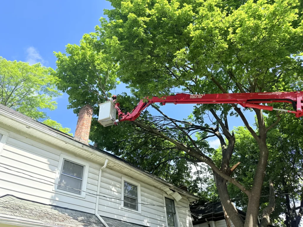 Spider lift bucket trimming branches above a house roof and chimney in Rochester NY